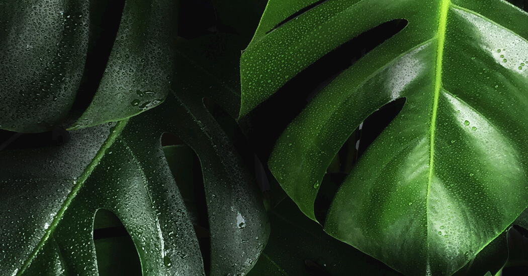 UX/UI Design Ausbildung: Usability-Tests und iteratives Design